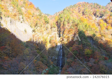Autumn at Shirakawa-go White Road in Hakusan: Shiritaka Falls Autumn at Shirakawa-go White Road in Hakusan: Shiritaka Falls 142076015