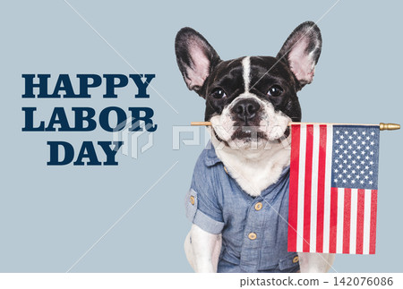 Happy Labor Day. Cute puppy and congratulatory inscription Happy Labor Day. Cute puppy and congratulatory inscription 142076086