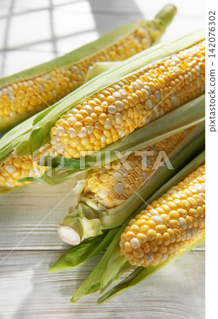 Fresh corn cobs with green husks on white wooden table Fresh corn cobs with green husks on white wooden table 142076302