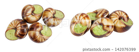 escargot snail filled with garlic and parsley butter isolated on white background. Top view. Flat lay escargot snail filled with garlic and parsley butter isolated on white background. Top view. Flat lay 142076399