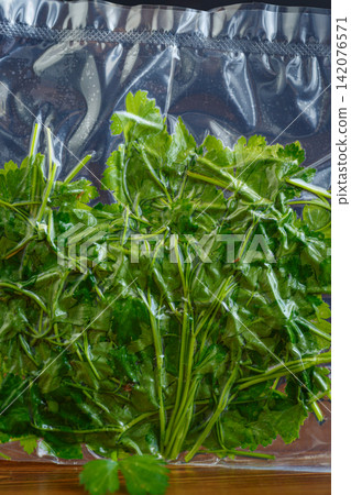 Vacuum packed parsley for herb storage on black background Vacuum packed parsley for herb storage on black background 142076571