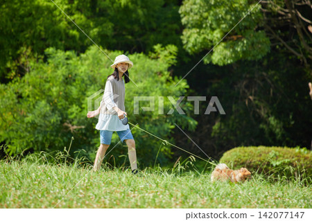 A middle school girl is seen happily playing with a Pomeranian puppy in a park on a summer morning. A middle school girl is seen happily playing with a Pomeranian puppy in a park on a summer morning. 142077147