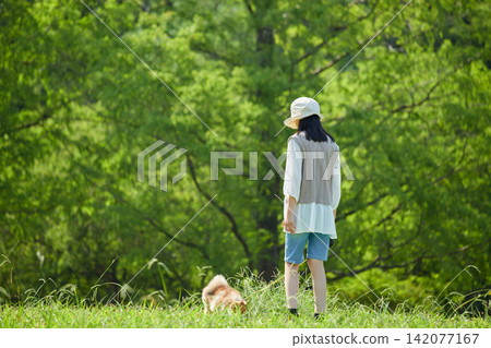 在一個夏日的早晨,一位國中女生在公園裡快樂地和一隻博美幼犬玩耍。 在一個夏日的早晨,一位國中女生在公園裡快樂地和一隻博美幼犬玩耍。 142077167