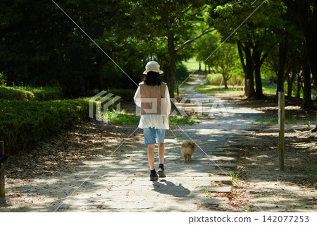 A junior high school girl walking her dog on a walking path in a park during the summer. A junior high school girl walking her dog on a walking path in a park during the summer. 142077253