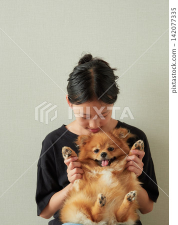 國中女生在暑假期間,在她家的客廳和一隻可愛的博美幼犬玩耍。 國中女生在暑假期間,在她家的客廳和一隻可愛的博美幼犬玩耍。 142077335