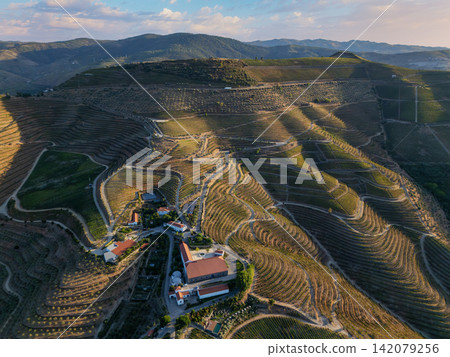 Aerial Douro Valley Vineyard Estate and Hills in Portugal Aerial Douro Valley Vineyard Estate and Hills in Portugal 142079256
