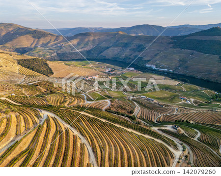 Curved vineyard terraces along Douro River in Douro Valley Portugal Curved vineyard terraces along Douro River in Douro Valley Portugal 142079260