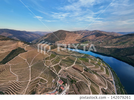 Douro River and terraced vineyards landscape in Portugal aerial view Douro River and terraced vineyards landscape in Portugal aerial view 142079261
