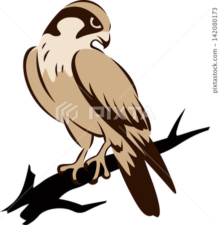 Hawk clipart, traditional chinese brush painting style Hawk clipart, traditional chinese brush painting style 142080173