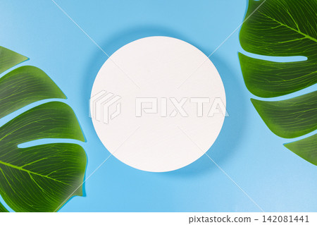 White circle copy space with tropical monstera leaves White circle copy space with tropical monstera leaves 142081441
