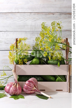Cucumbers in a basket with dill, garlic, and pickling leaves on the kitchen counter. Harvest concept. Homemade pickle recipe. Cucumbers and pickling ingredients. Home canning concept. Cucumbers in a basket with dill, garlic, and pickling leaves on the kitchen counter. Harvest concept. Homemade pickle recipe. Cucumbers and pickling ingredients. Home canning concept. 142081494
