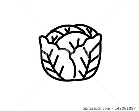 黑色手繪捲心菜蔬菜插圖 黑色手繪捲心菜蔬菜插圖 142081897