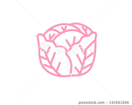 手繪捲心菜蔬菜插圖,粉紅色 手繪捲心菜蔬菜插圖,粉紅色 142081898