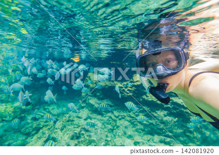 Woman snorkeling underwater in the tropical Caribbean sea, wearing mask and snorkel while exploring coral reef, clear blue water and marine life concept Woman snorkeling underwater in the tropical Caribbean sea, wearing mask and snorkel while exploring coral reef, clear blue water and marine life concept 142081920