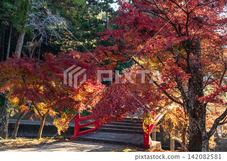 靜岡縣周知郡森町立花大東院及院內風景 靜岡縣周知郡森町立花大東院及院內風景 142082581