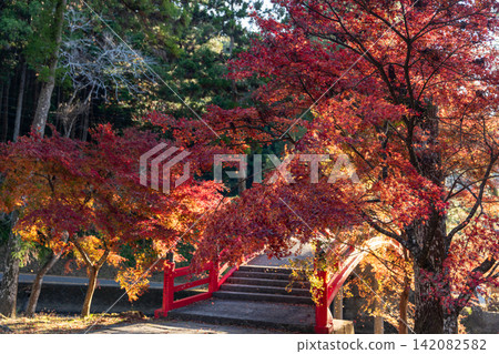 靜岡縣周知郡森町立花大東院及院內風景 靜岡縣周知郡森町立花大東院及院內風景 142082582