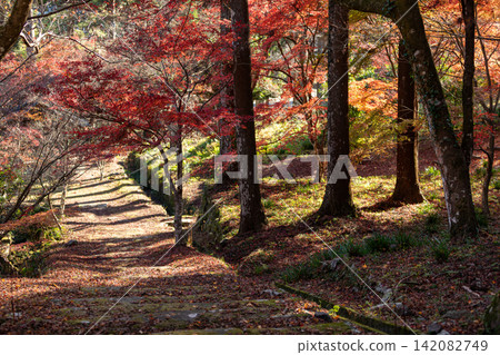 靜岡縣周知郡森町立花大東院及院內風景 靜岡縣周知郡森町立花大東院及院內風景 142082749