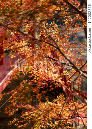 Scenery of Daitoin Temple and precincts, Tachibana, Mori-machi, Shuchi-gun, Shizuoka Prefecture Scenery of Daitoin Temple and precincts, Tachibana, Mori-machi, Shuchi-gun, Shizuoka Prefecture 142082866