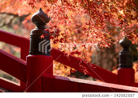Scenery of Daitoin Temple and precincts, Tachibana, Mori-machi, Shuchi-gun, Shizuoka Prefecture Scenery of Daitoin Temple and precincts, Tachibana, Mori-machi, Shuchi-gun, Shizuoka Prefecture 142082887
