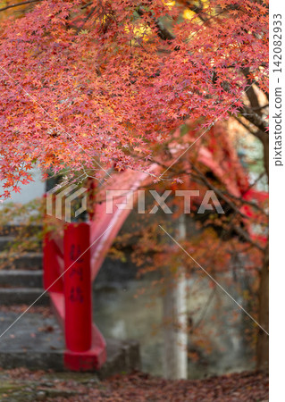 靜岡縣周知郡森町立花大東院及院內風景 靜岡縣周知郡森町立花大東院及院內風景 142082933