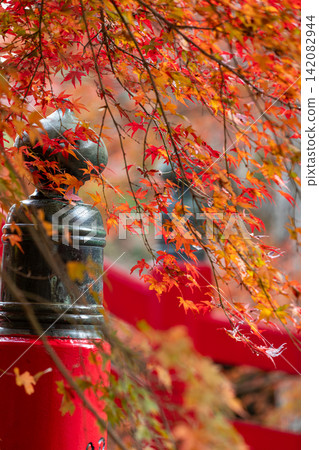 Scenery of Daitoin Temple and precincts, Tachibana, Mori-machi, Shuchi-gun, Shizuoka Prefecture Scenery of Daitoin Temple and precincts, Tachibana, Mori-machi, Shuchi-gun, Shizuoka Prefecture 142082944