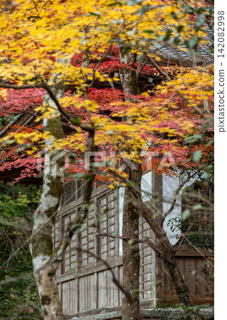 靜岡縣周知郡森町立花大東院及院內風景 靜岡縣周知郡森町立花大東院及院內風景 142082998