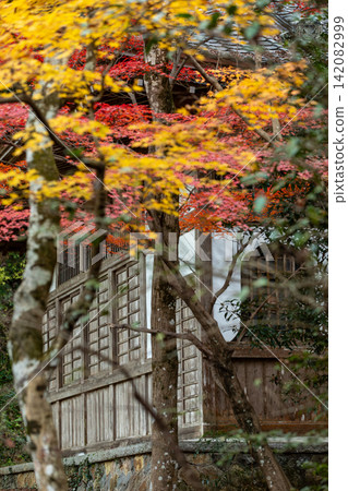 靜岡縣周知郡森町立花大東院及院內風景 靜岡縣周知郡森町立花大東院及院內風景 142082999