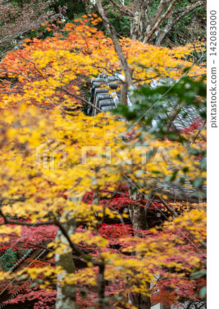 靜岡縣周知郡森町立花大東院及院內風景 靜岡縣周知郡森町立花大東院及院內風景 142083000