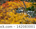 靜岡縣周知郡森町立花大東院及院內風景 靜岡縣周知郡森町立花大東院及院內風景 142083001
