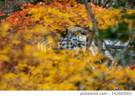 靜岡縣周知郡森町立花大東院及院內風景 靜岡縣周知郡森町立花大東院及院內風景 142083001