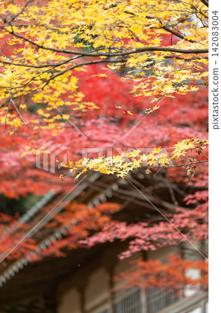 靜岡縣周知郡森町立花大東院及院內風景 靜岡縣周知郡森町立花大東院及院內風景 142083004