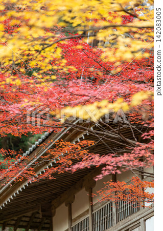靜岡縣周知郡森町立花大東院及院內風景 靜岡縣周知郡森町立花大東院及院內風景 142083005