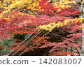 靜岡縣周知郡森町立花大東院及院內風景 靜岡縣周知郡森町立花大東院及院內風景 142083007