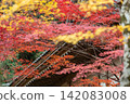 靜岡縣周知郡森町立花大東院及院內風景 靜岡縣周知郡森町立花大東院及院內風景 142083008