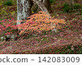 靜岡縣周知郡森町立花大東院及院內風景 靜岡縣周知郡森町立花大東院及院內風景 142083009