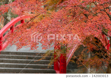 靜岡縣周知郡森町立花大東院及院內風景 靜岡縣周知郡森町立花大東院及院內風景 142083013
