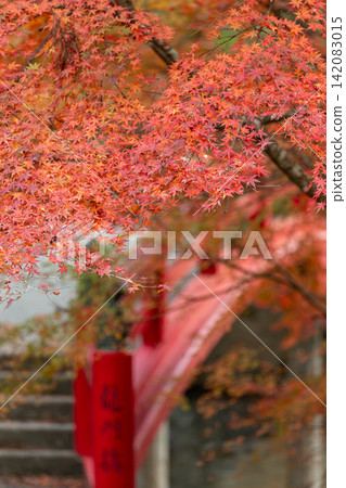 靜岡縣周知郡森町立花大東院及院內風景 靜岡縣周知郡森町立花大東院及院內風景 142083015