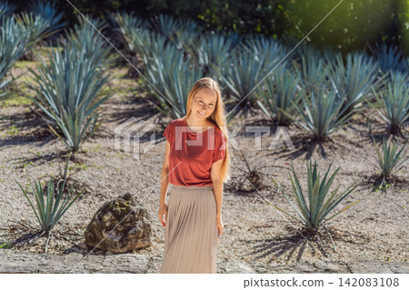 Female tourist visits rows of cultivated agave plants used to make tequila and mezcal, showing Mexican agriculture, travel and cultural heritage concept Female tourist visits rows of cultivated agave plants used to make tequila and mezcal, showing Mexican agriculture, travel and cultural heritage concept 142083108