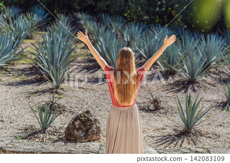 Female tourist visits rows of cultivated agave plants used to make tequila and mezcal, showing Mexican agriculture, travel and cultural heritage concept Female tourist visits rows of cultivated agave plants used to make tequila and mezcal, showing Mexican agriculture, travel and cultural heritage concept 142083109