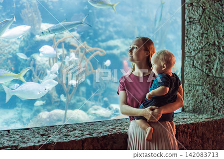 Family sits together by a bright marine tank, showing ocean education, travel with kids, sibling curiosity and underwater wildlife concept Family sits together by a bright marine tank, showing ocean education, travel with kids, sibling curiosity and underwater wildlife concept 142083713