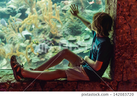 Older child observes colorful fish and coral behind glass, showing ocean education, curiosity, science learning and family travel concept Older child observes colorful fish and coral behind glass, showing ocean education, curiosity, science learning and family travel concept 142083720