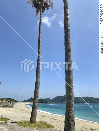 藍色的海 藍色的海 142084050