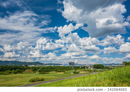 大阪府枚方市淀川的夏日景色 大阪府枚方市淀川的夏日景色 142084083