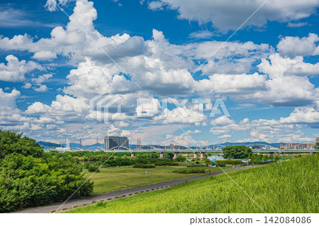 大阪府枚方市淀川的夏日景色 大阪府枚方市淀川的夏日景色 142084086