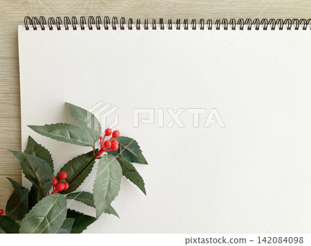 素描本和結著紅色漿果的植物——光果金盞花(Sarcandra glabra)——冬季——慶祝——卡片——新年 素描本和結著紅色漿果的植物——光果金盞花(Sarcandra glabra)——冬季——慶祝——卡片——新年 142084098