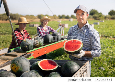 Portrait of man plantation worker with two halves of ripe watermelon Portrait of man plantation worker with two halves of ripe watermelon 142084551