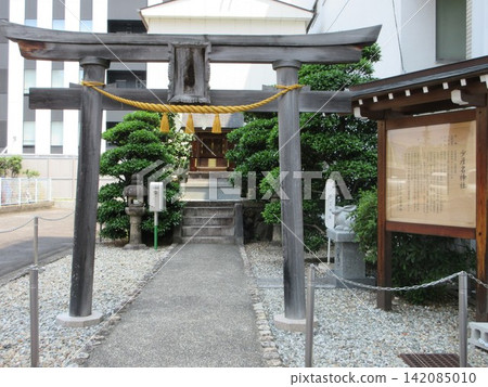 宿巳彥名神社的鳥居和參拜殿!愛知縣名古屋市 宿巳彥名神社的鳥居和參拜殿!愛知縣名古屋市 142085010