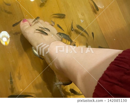 醫生魚 醫生魚 142085130