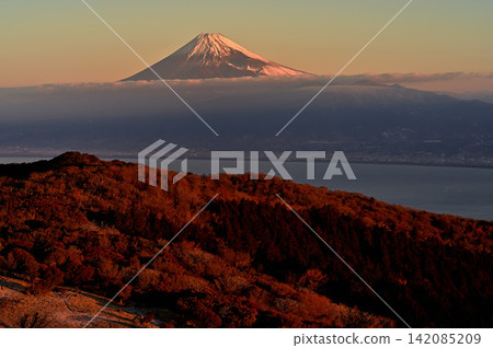 伊豆半島,金冠山位於伊豆山脊步道上,山脊和富士山沐浴在晨光中。 伊豆半島,金冠山位於伊豆山脊步道上,山脊和富士山沐浴在晨光中。 142085209