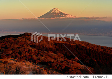 伊豆半島,金冠山位於伊豆山脊步道上,山脊和富士山沐浴在晨光中。 伊豆半島,金冠山位於伊豆山脊步道上,山脊和富士山沐浴在晨光中。 142085210